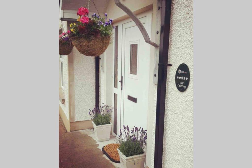 Swallow Lane, Enniskillen, Co Fermanagh, 5* Chicヴィラ エクステリア 写真